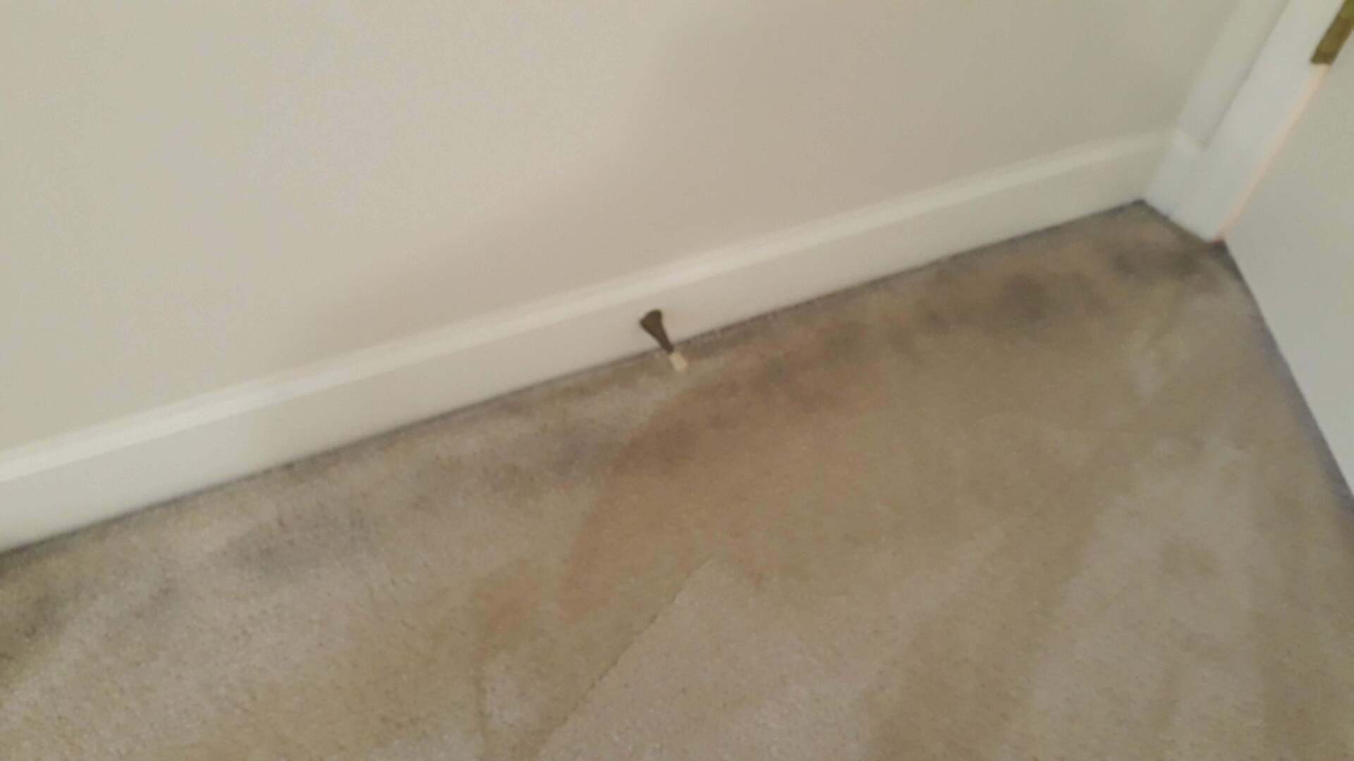Black Stains That Appear Along Baseboards Close Up — Gallatin, TN — Master’s Touch Cleaning and Restoration