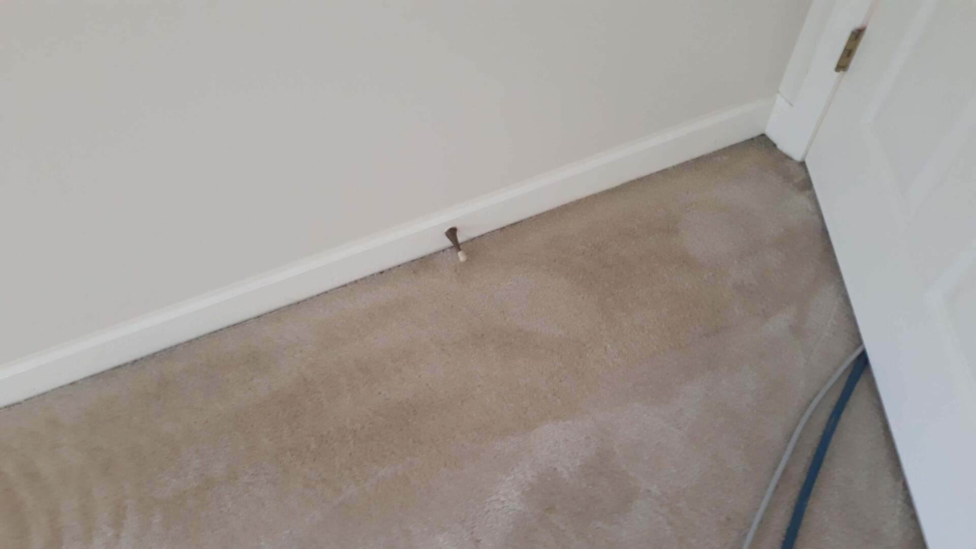 Black stains that appear along baseboards, around vents and sometimes around computers placed are carpet are called Filtration Stains.  We have a special spotter for these that has never failed us.