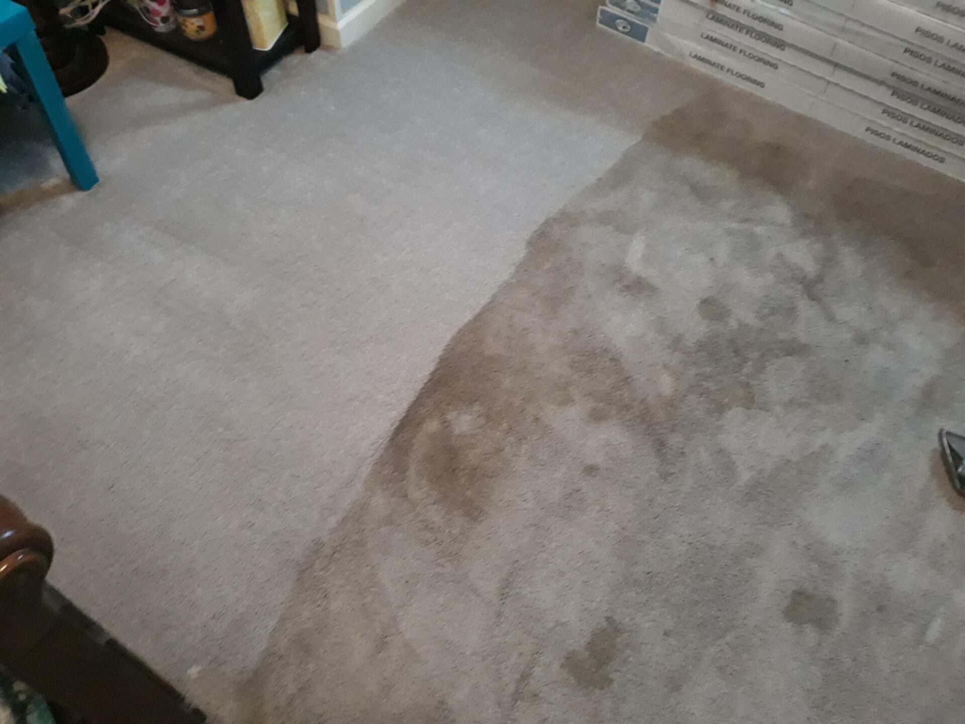 Carpet with Half Stain — Gallatin, TN — Master’s Touch Cleaning and Restoration
