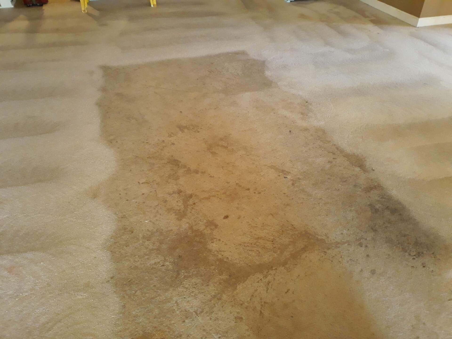 Stains on Carpet — Gallatin, TN — Master’s Touch Cleaning and Restoration