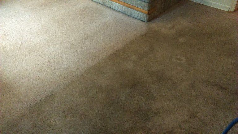 Carpet Before and After — Gallatin, TN — Master’s Touch Cleaning and Restoration