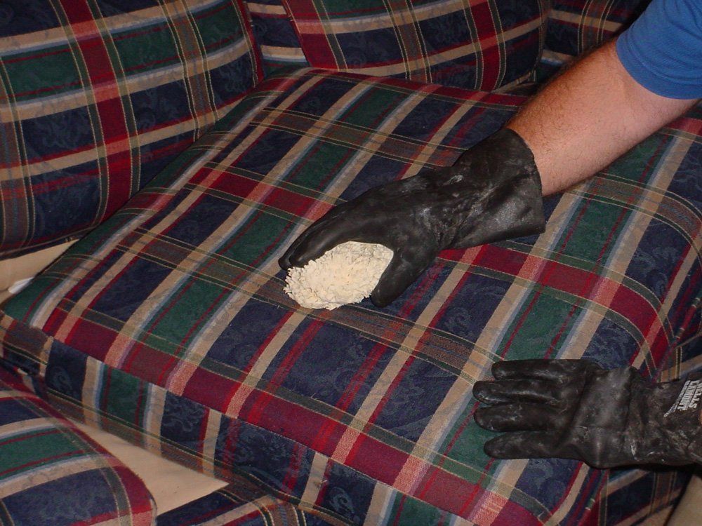 Upholstery Shampooing — Gallatin, TN — Master’s Touch Cleaning and Restoration