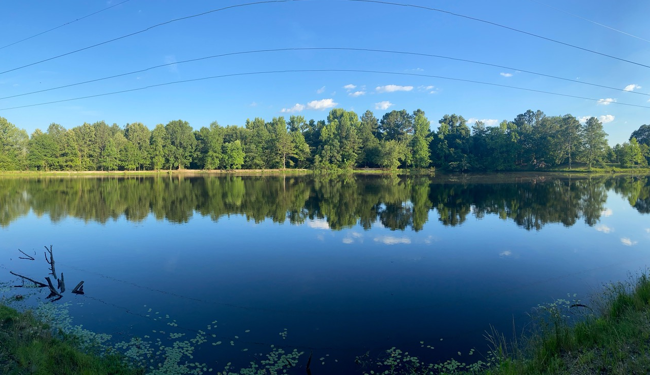 A large body of water surrounded by trees on a sunny day.