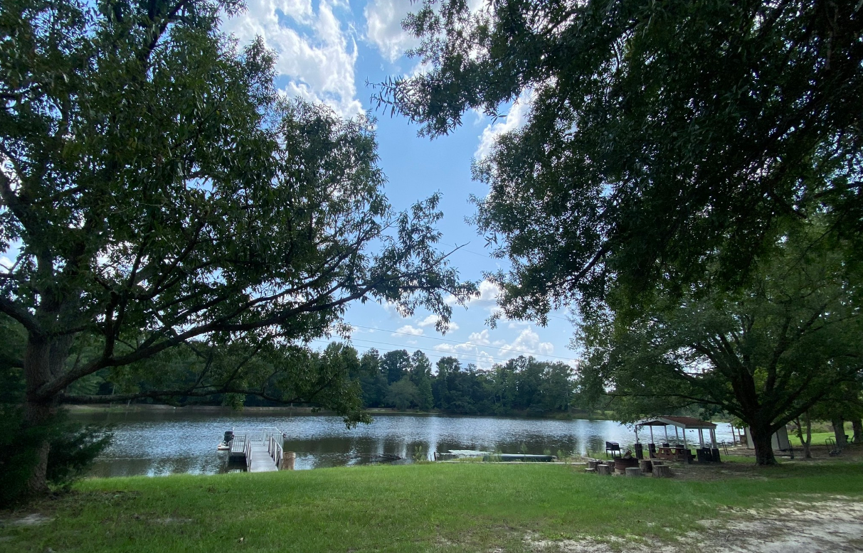 A view of a lake through the trees on a sunny day.