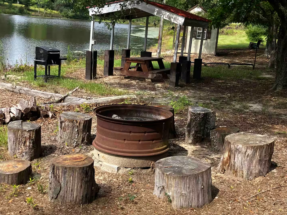 A fire pit is surrounded by stump stools next to a lake.