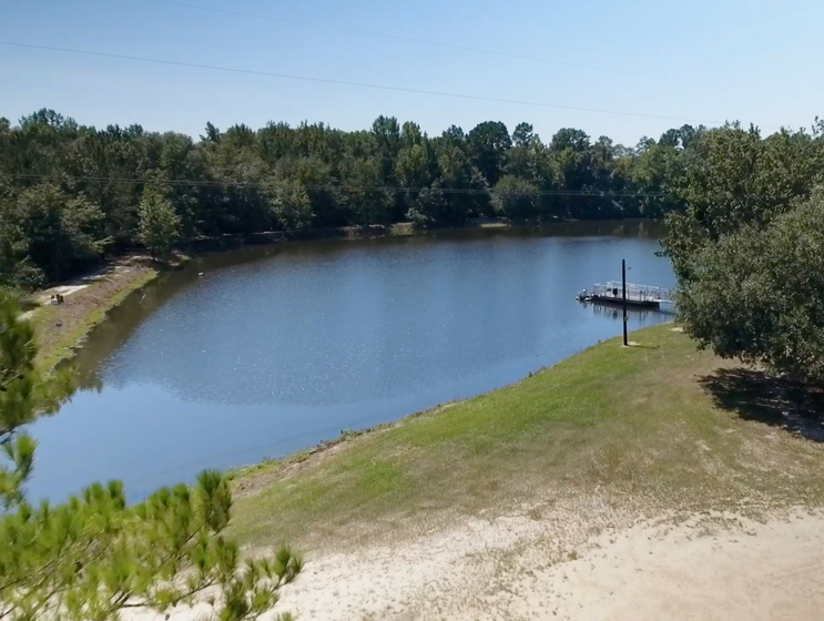 A large body of water surrounded by trees and grass