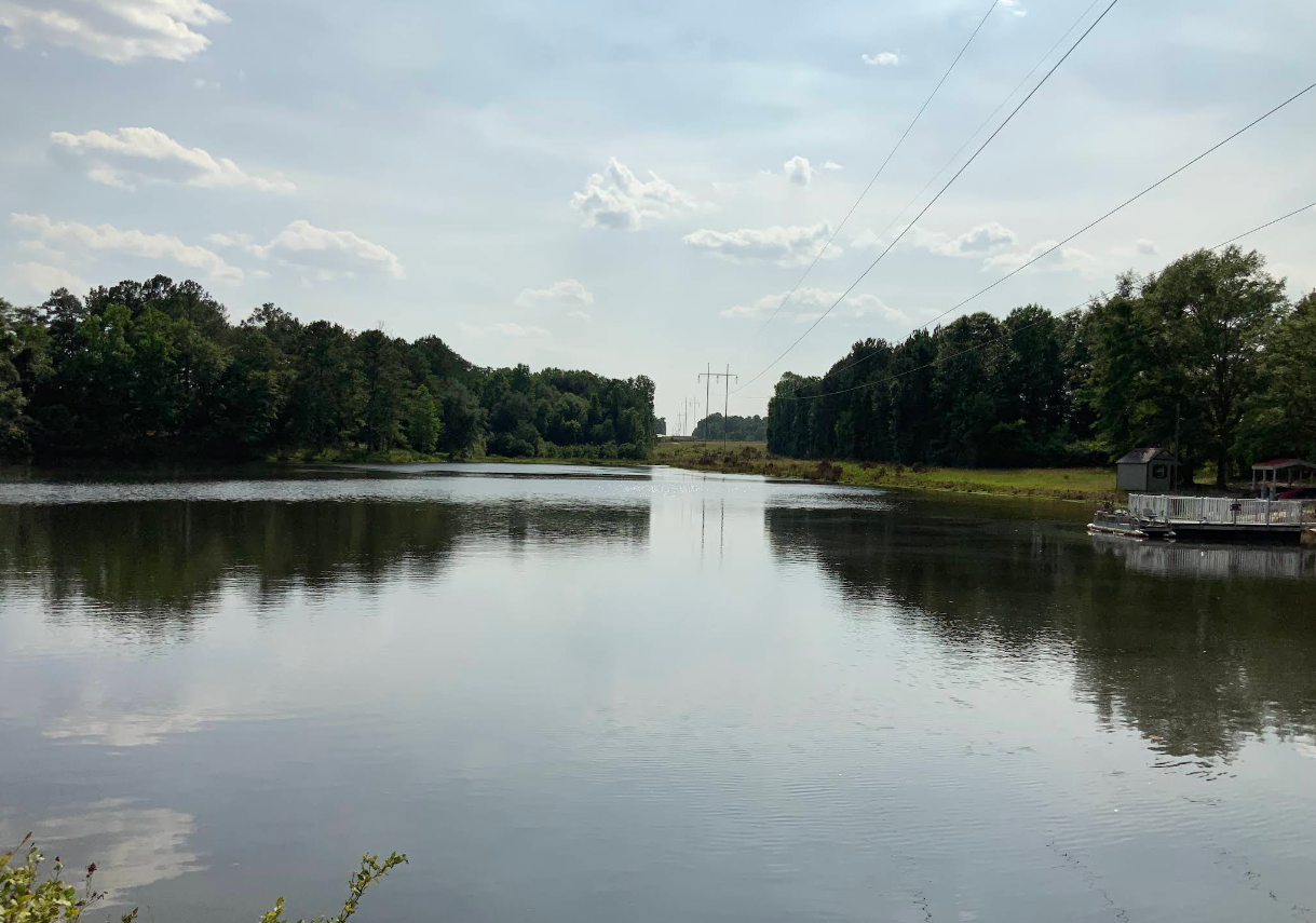 A large body of water surrounded by trees on a sunny day.