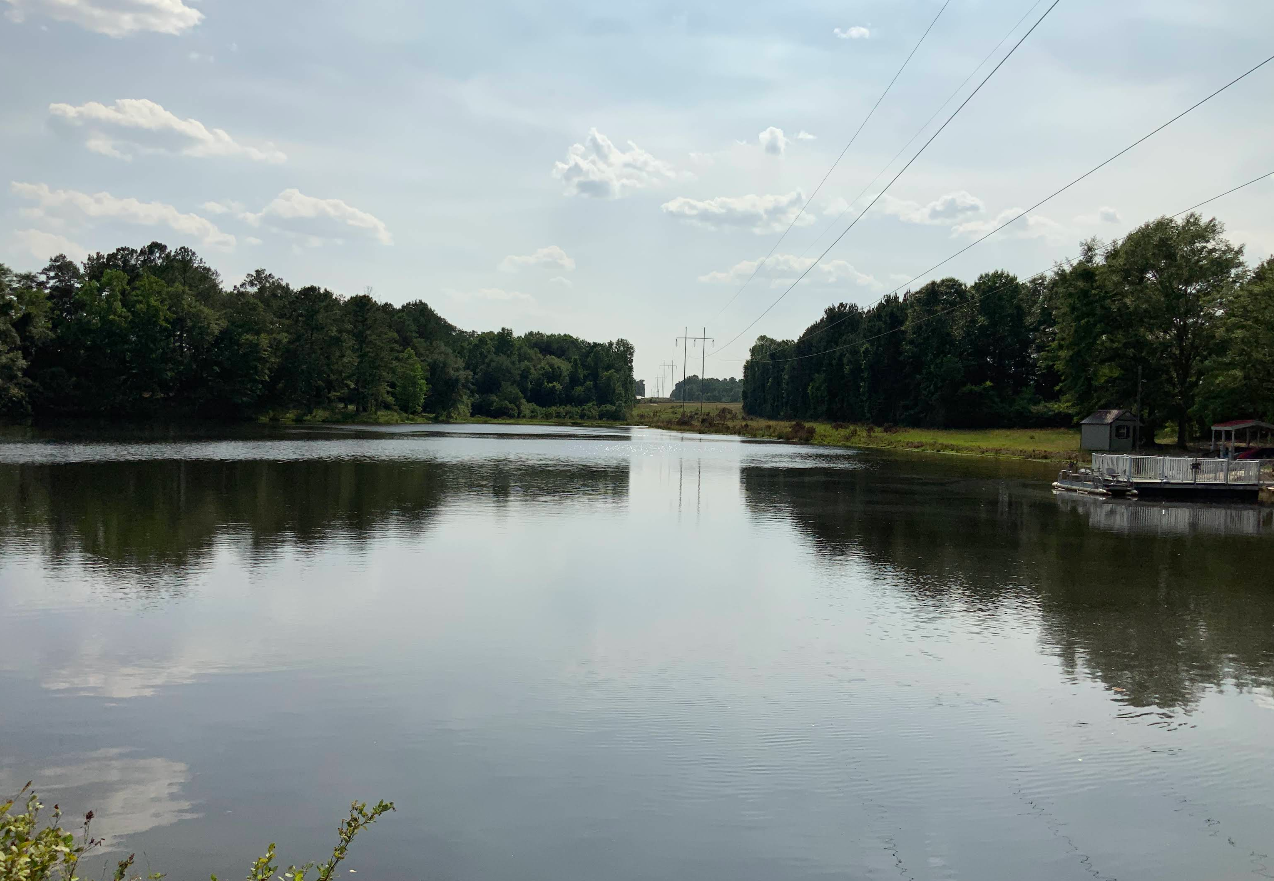A large body of water surrounded by trees on a sunny day.