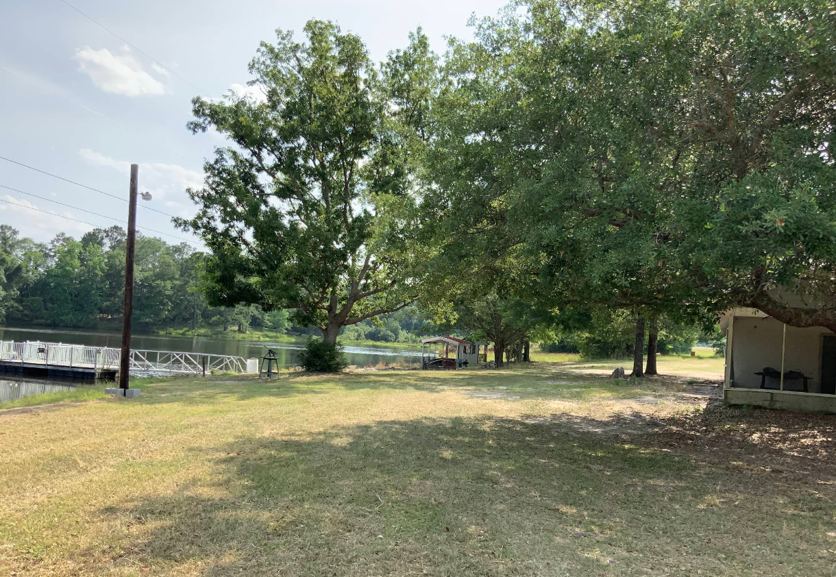 A large grassy field with trees and a dock in the background.