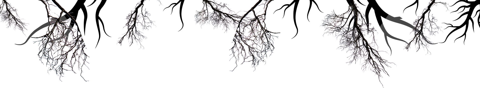 A black and white drawing of a tree branch on a white background.