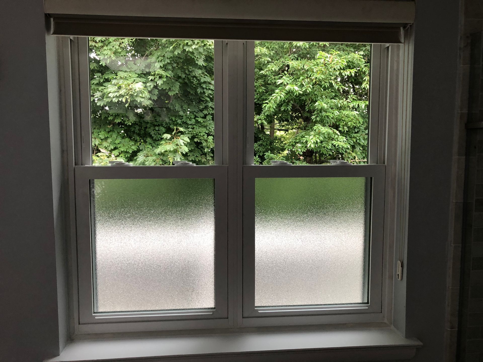 A window with a view of trees in a room.