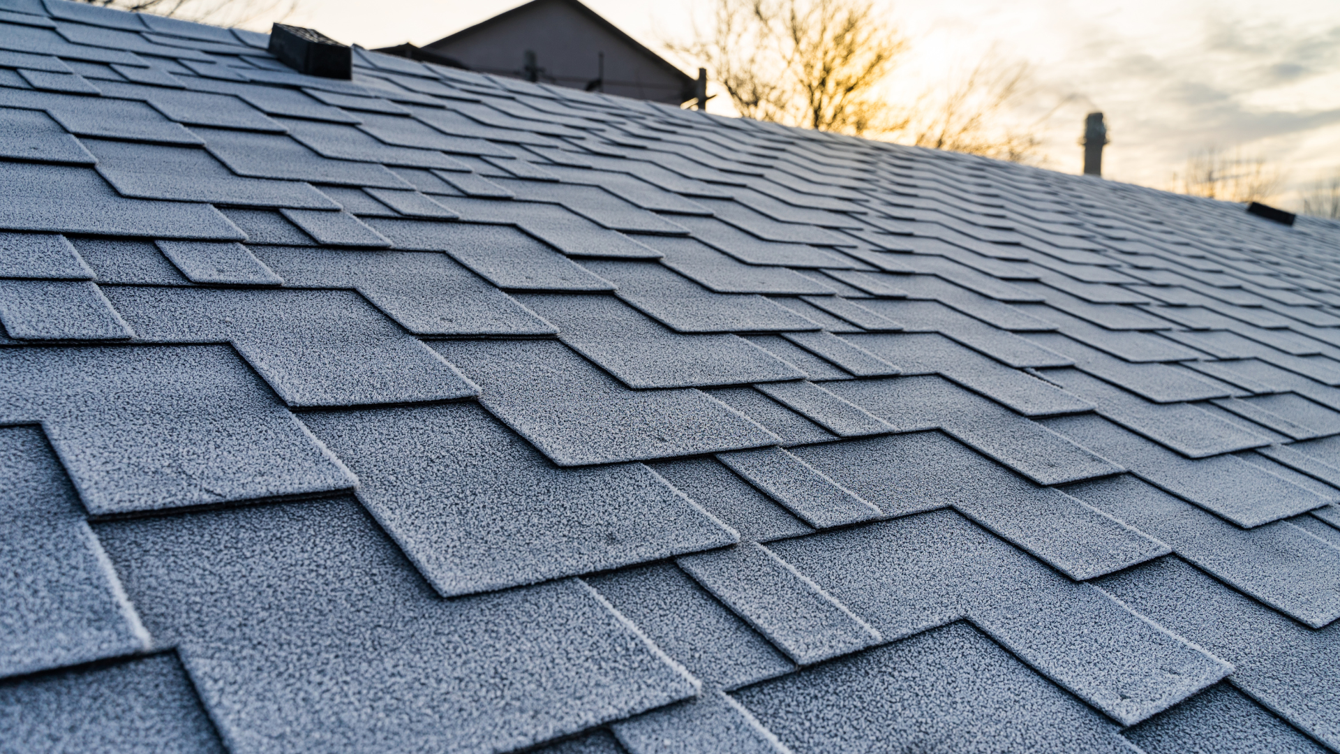 architectural shingles