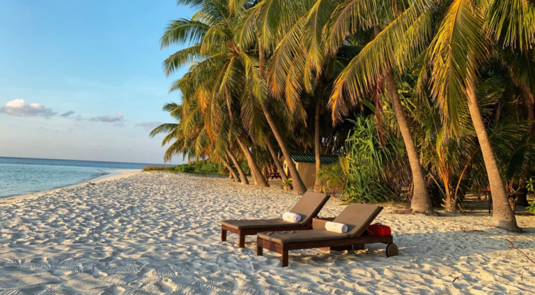 Two lounge chairs are sitting on a sandy beach surrounded by palm trees.