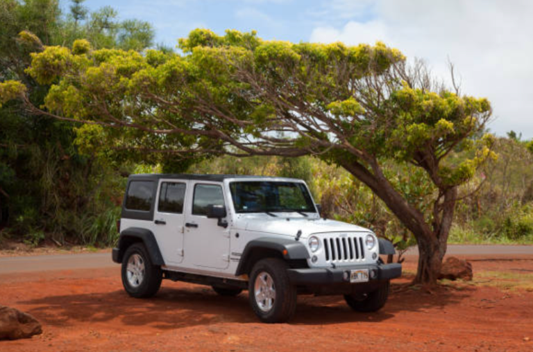 A white jeep is parked under a tree on a dirt road.