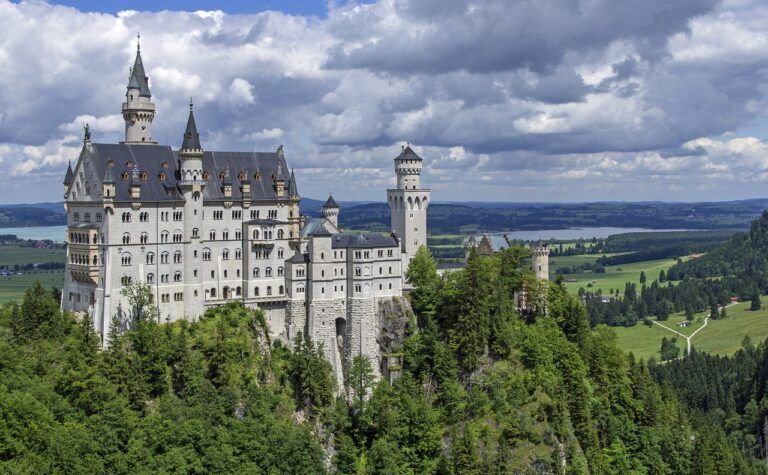 A large castle is sitting on top of a hill surrounded by trees.