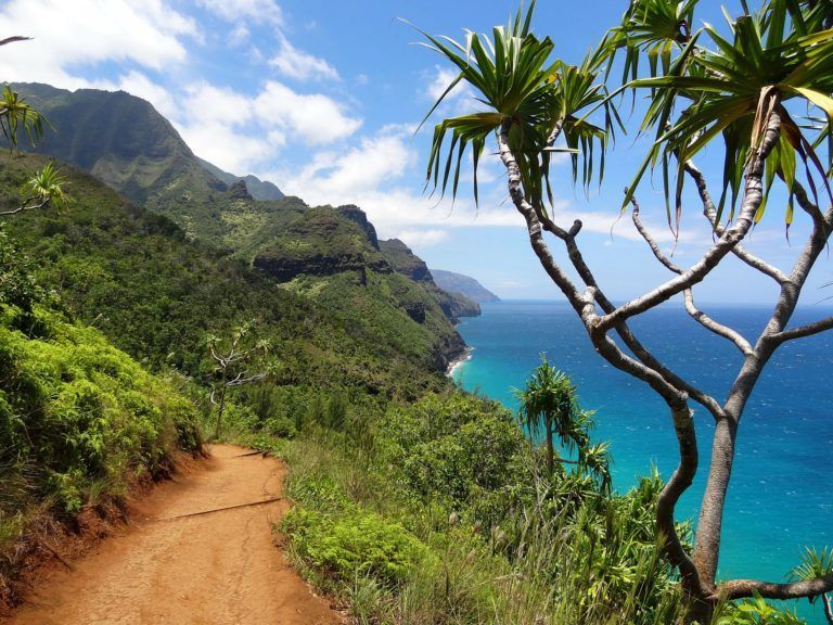 A dirt road leading to the ocean with mountains in the background