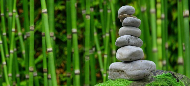 A stack of rocks sitting on top of a rock in front of a bamboo forest.