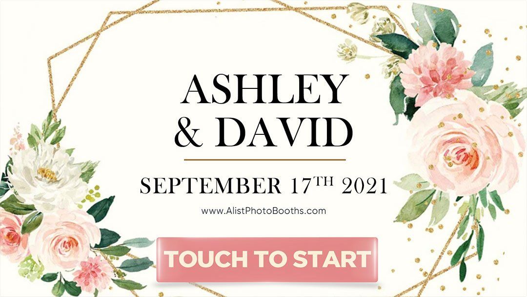 Ashley and David' Wedding 1
