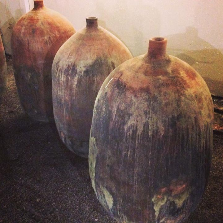 Winery tours from Paris