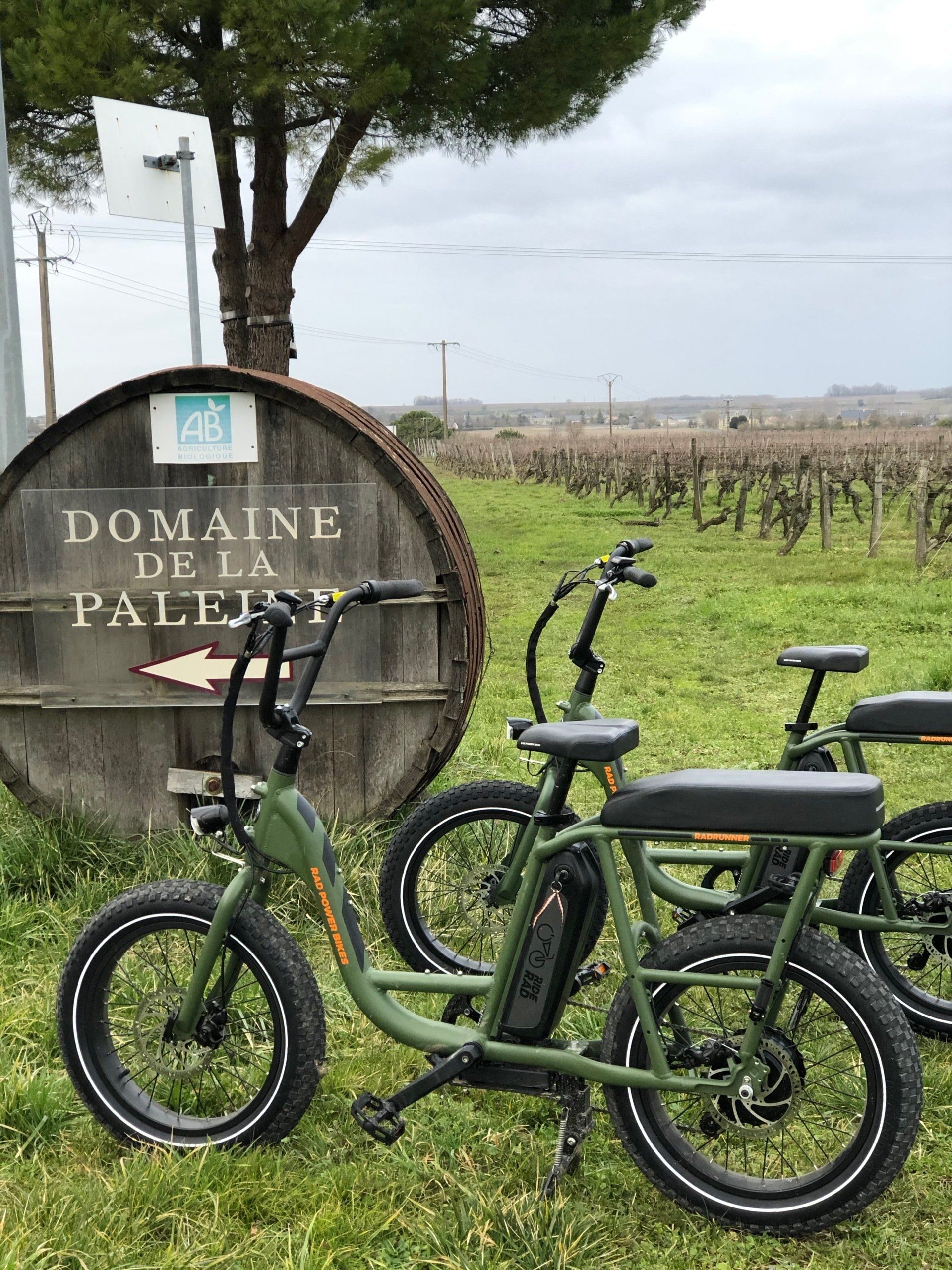 loire wine tour by electric bike