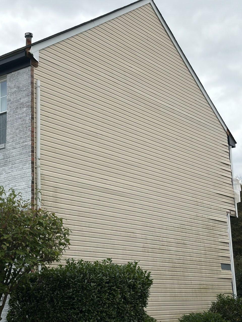 Beige vinyl siding on the side of a building, with a small brick section and shrubbery at the base.