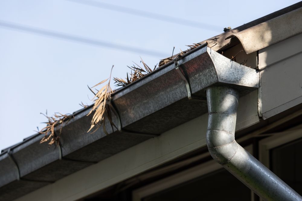 Gutter filled with leaves and debris on a house, with a downspout against a blue sky.