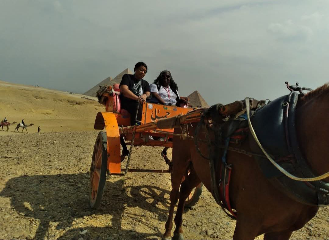 A man and a woman are riding in a horse drawn carriage.