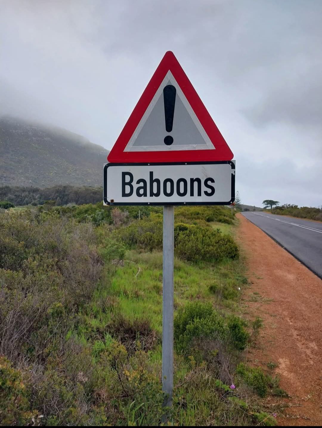 A road sign that says baboons on it