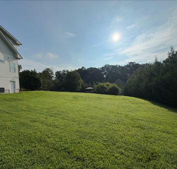 Green grassy yard with a house on the left and trees in the background under a bright, sunny sky.
