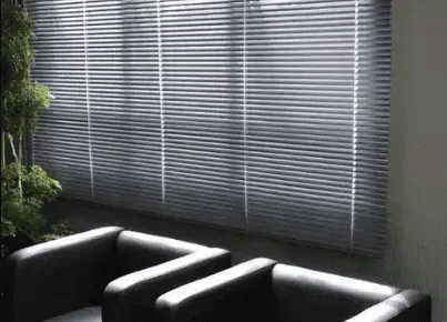 Duas cadeiras pretas em frente a uma janela com persianas fechadas e uma planta à esquerda.