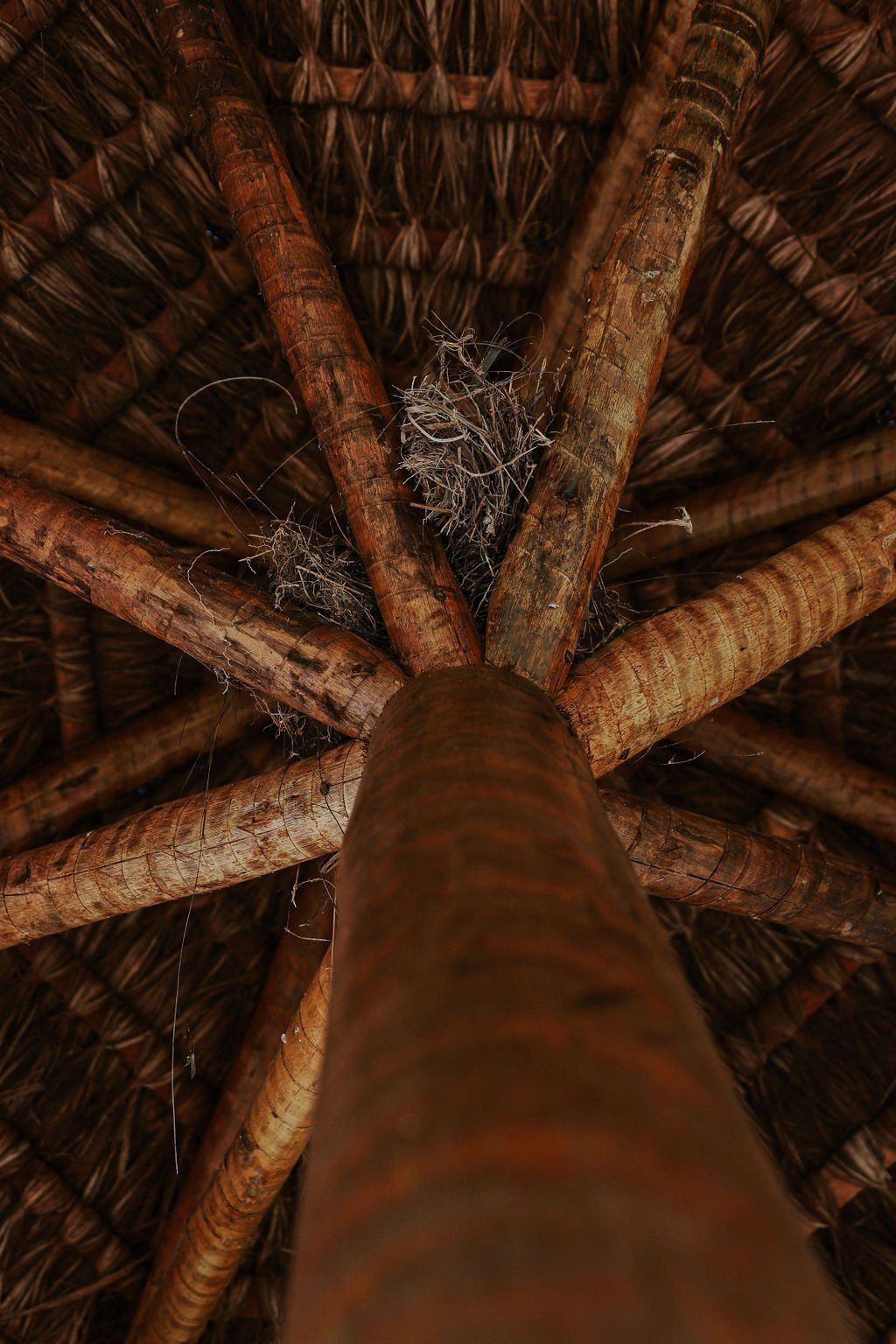 Olhando para o teto de uma cabana feita de pedaços de madeira.