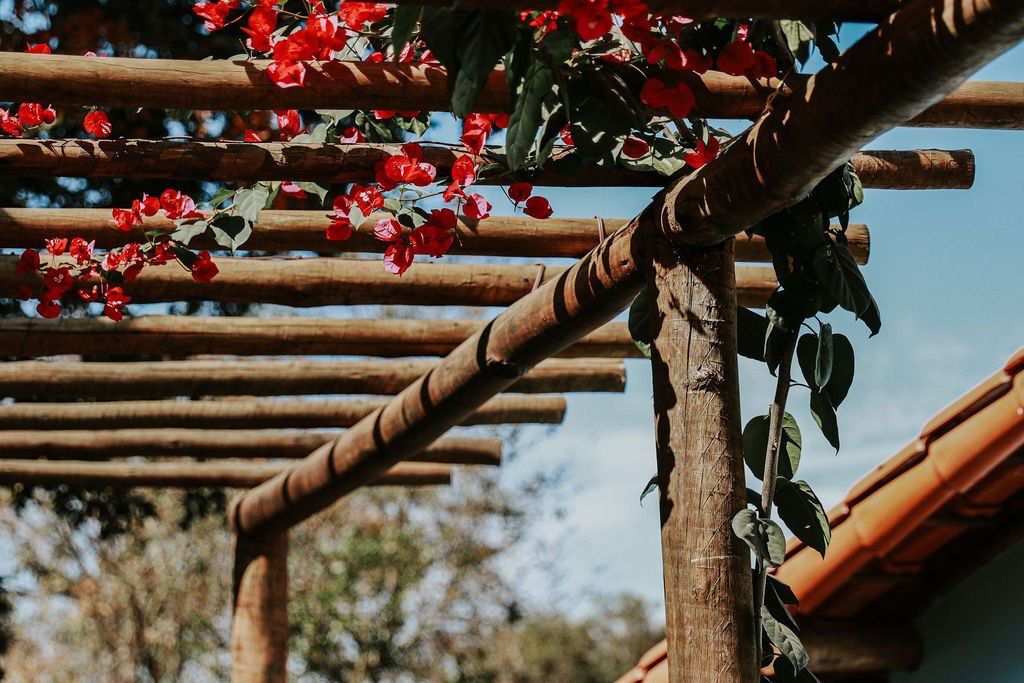 Uma pérgola de madeira com flores vermelhas crescendo nela.
