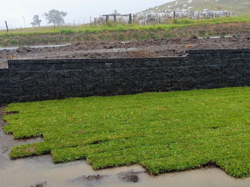 Grass and brick wall â Excavation in Alligator Creek, QLD