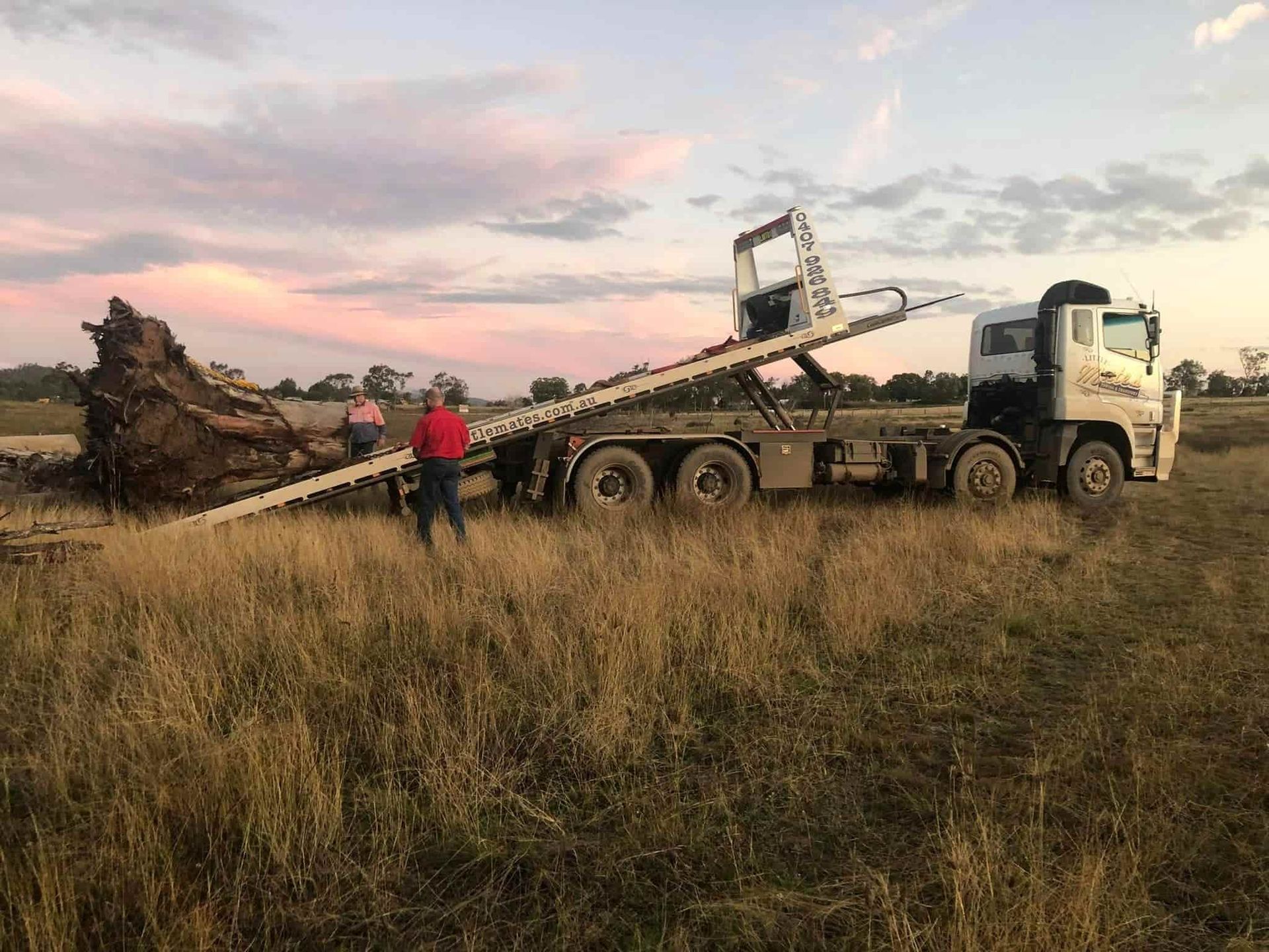 A Tow Truck Is Towing A Large Tree In A Field — Little Mates Towing & Transport Pty Ltd In Emerald, QLD