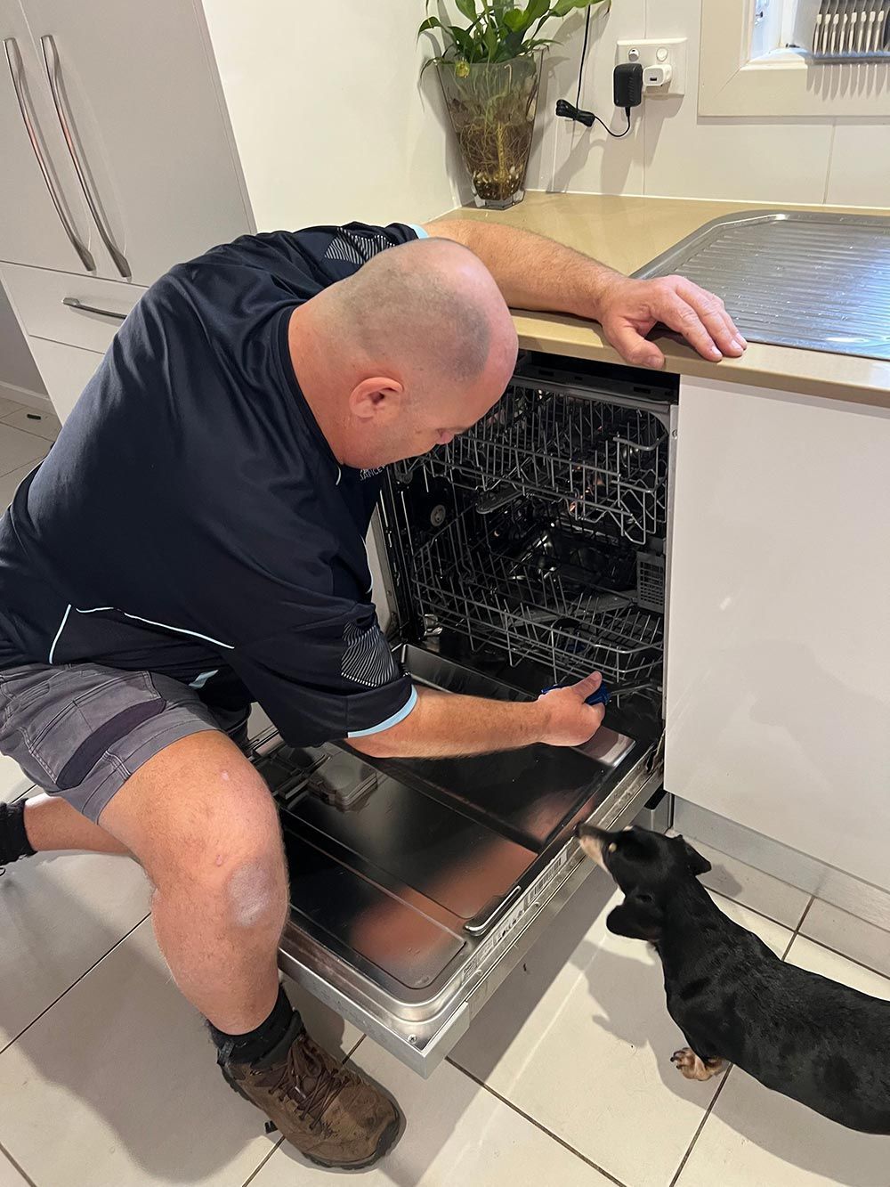 Checking Dish Washer - Appliance Repairs in Taree, NSW