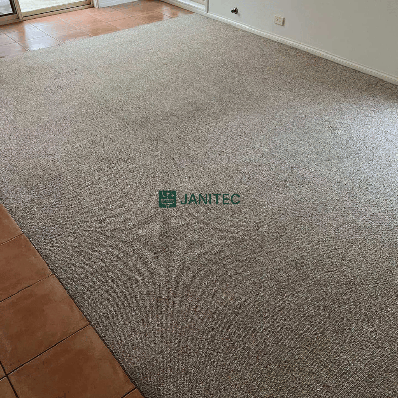 Carpet traffic lane after cleaning in Calgary