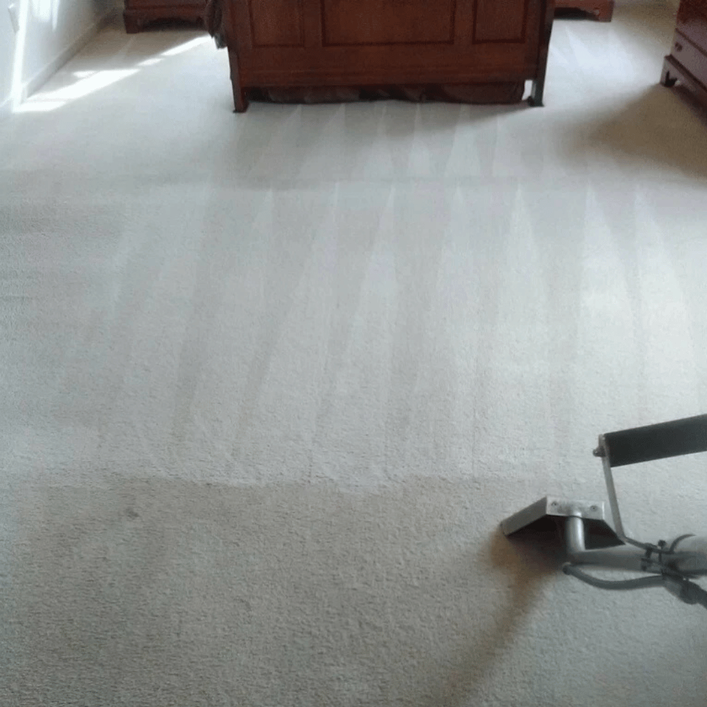 After results high-traffic carpet after cleaning Calgary