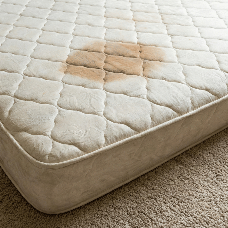 Remove stains from mattress Calgary