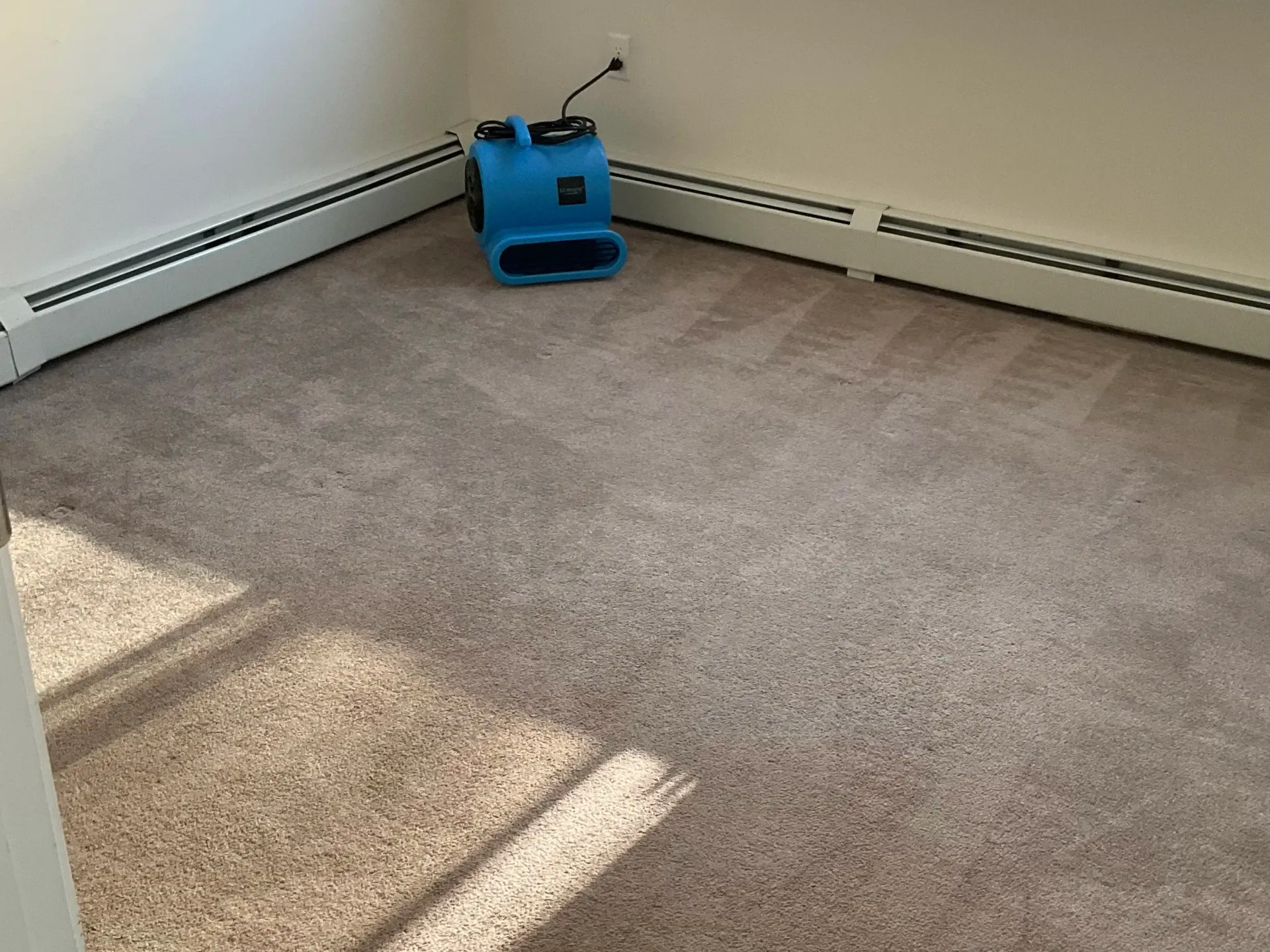 Same day apartment cleaning Apartment Carpet Cleaning Calgary