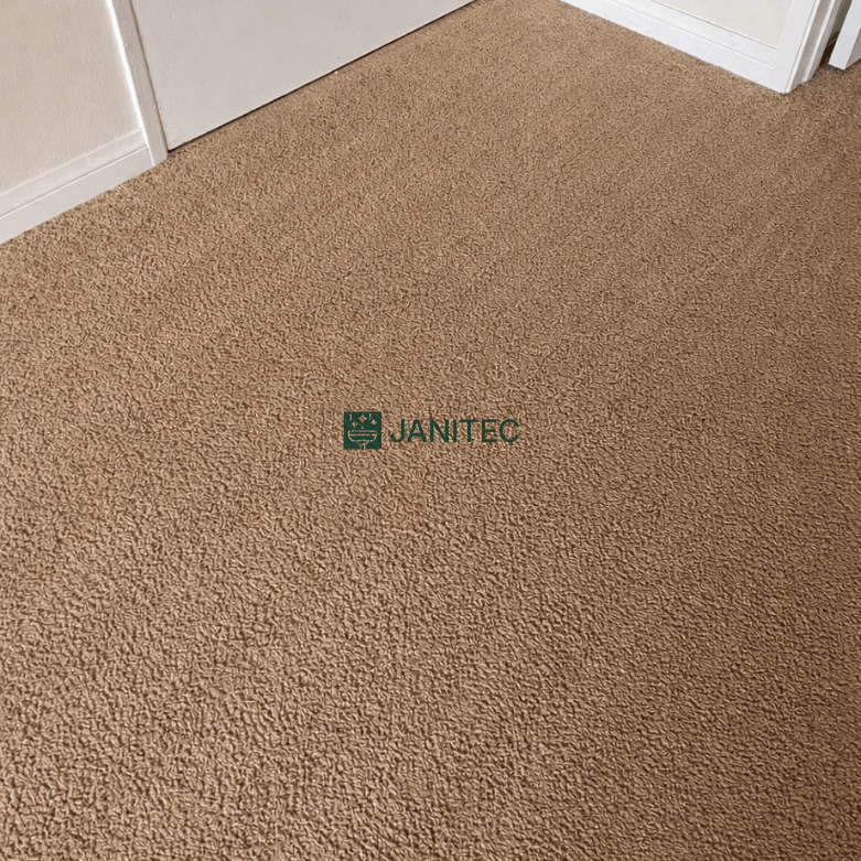 carpet traffic-lane after steam cleaning calgary