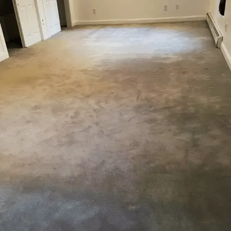 visible urine stain on calgary