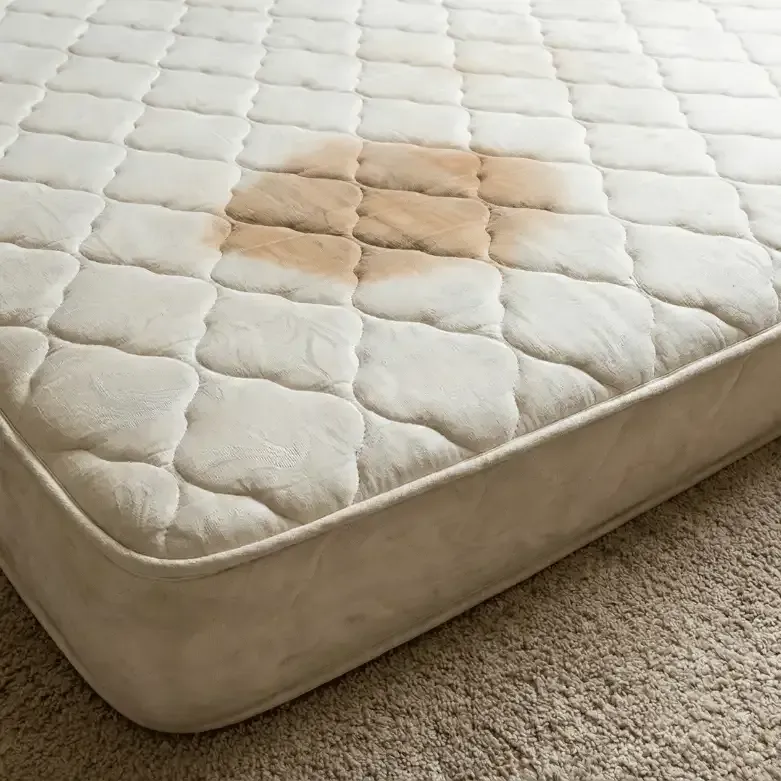 visible urine stain on calgary