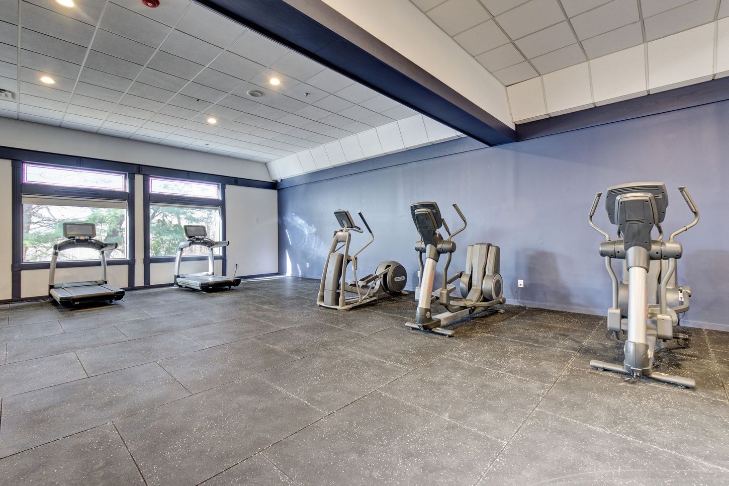 Gym interior with treadmills and elliptical machines on a black tiled floor, and a blue wall.