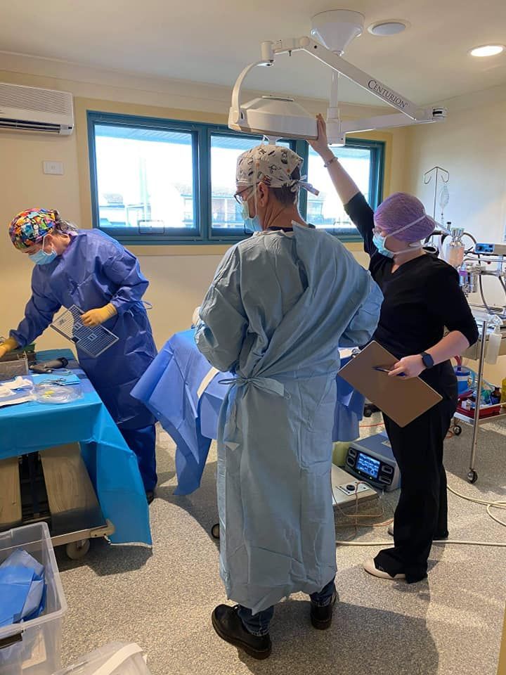 A Group Of Surgeons Are Operating On A Patient In An Operating Room — Ballina Veterinary Hospital In Ballina, NSW