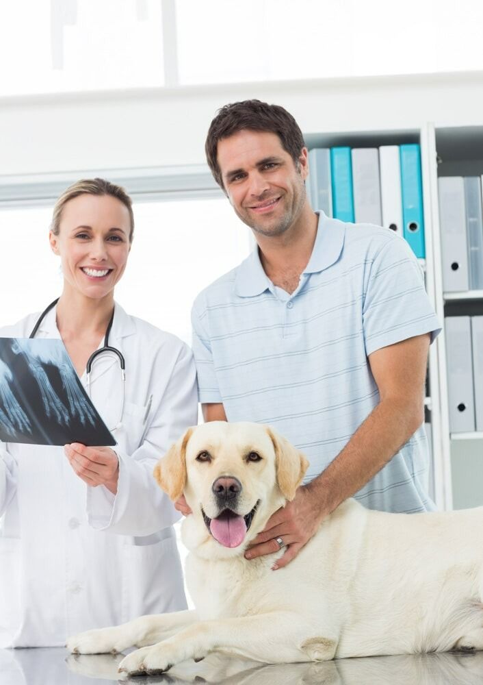 A Man And A Woman Are Standing Next To A Dog And Looking At An X-ray — Ballina Veterinary Hospital In Ballina, NSW