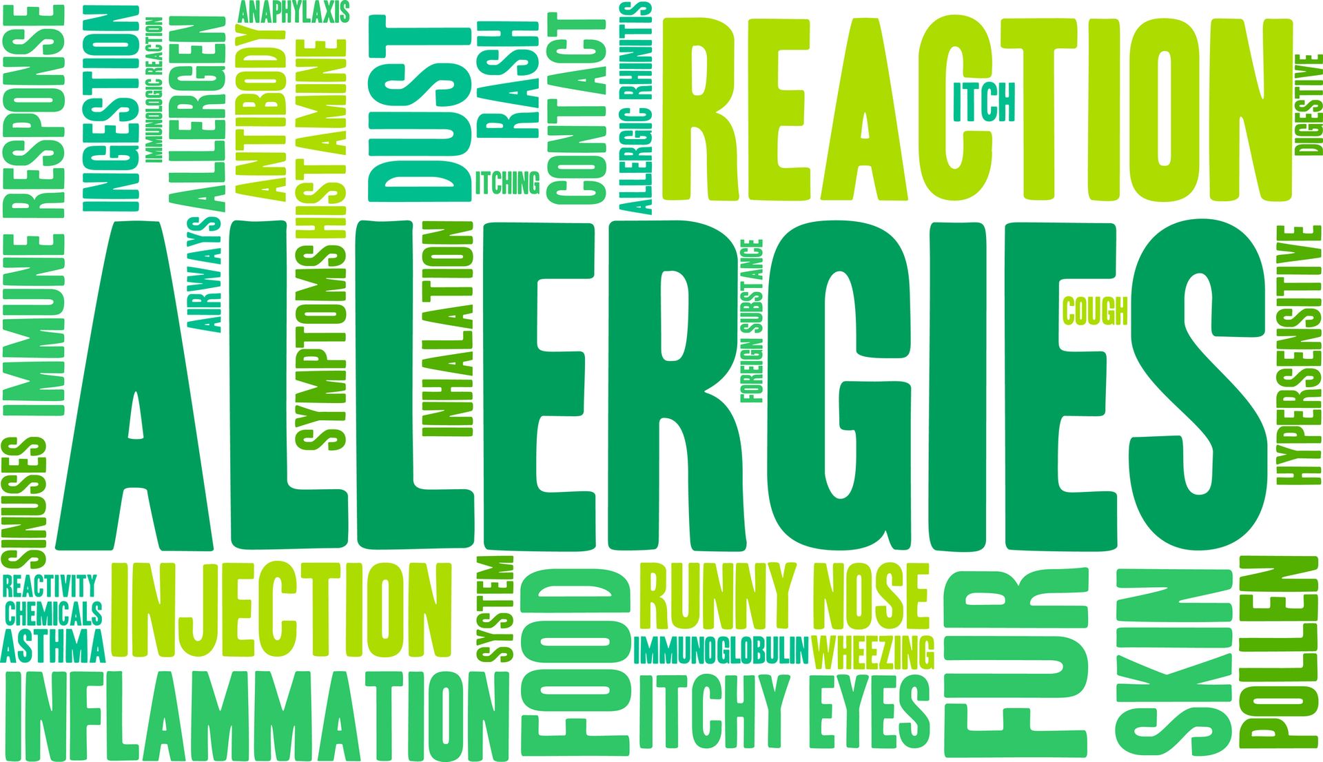 Reducing Allergens in Your Home for a Healthier Environment
