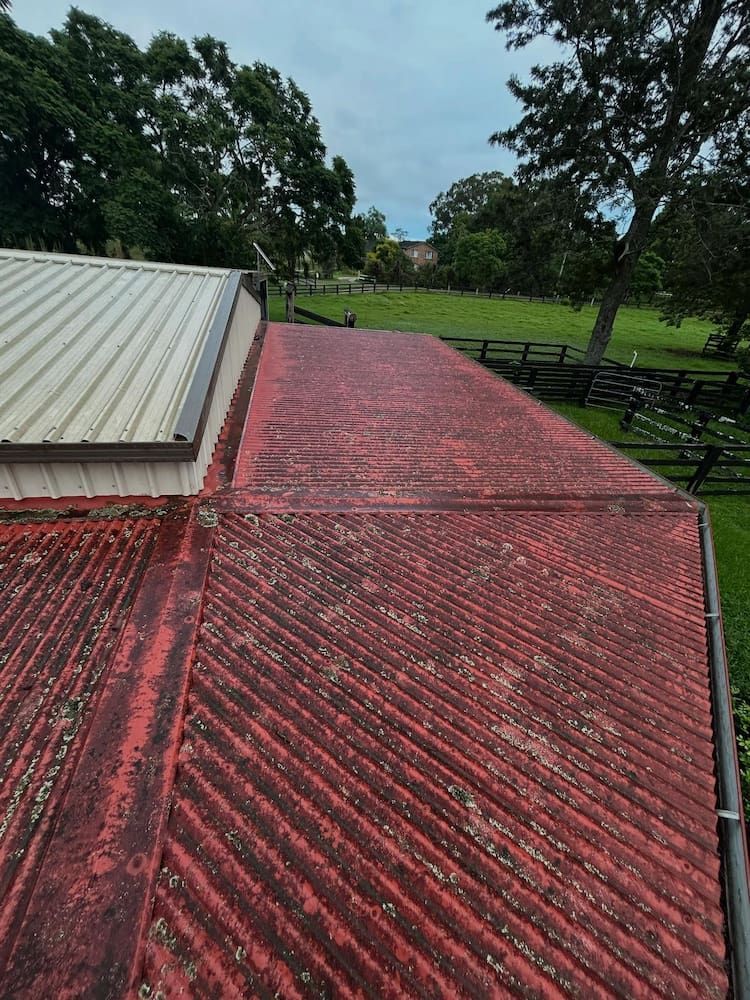 Red Corrugated Roof With Patches of Moss, Overlooking a Green Field and Trees — ACE1 Metal Roofing in Taree, NSW