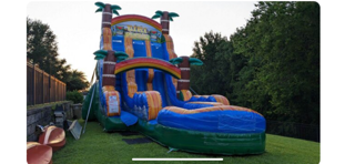 A large, inflatable tropical-themed water slide with palm trees, set up on a grassy lawn.