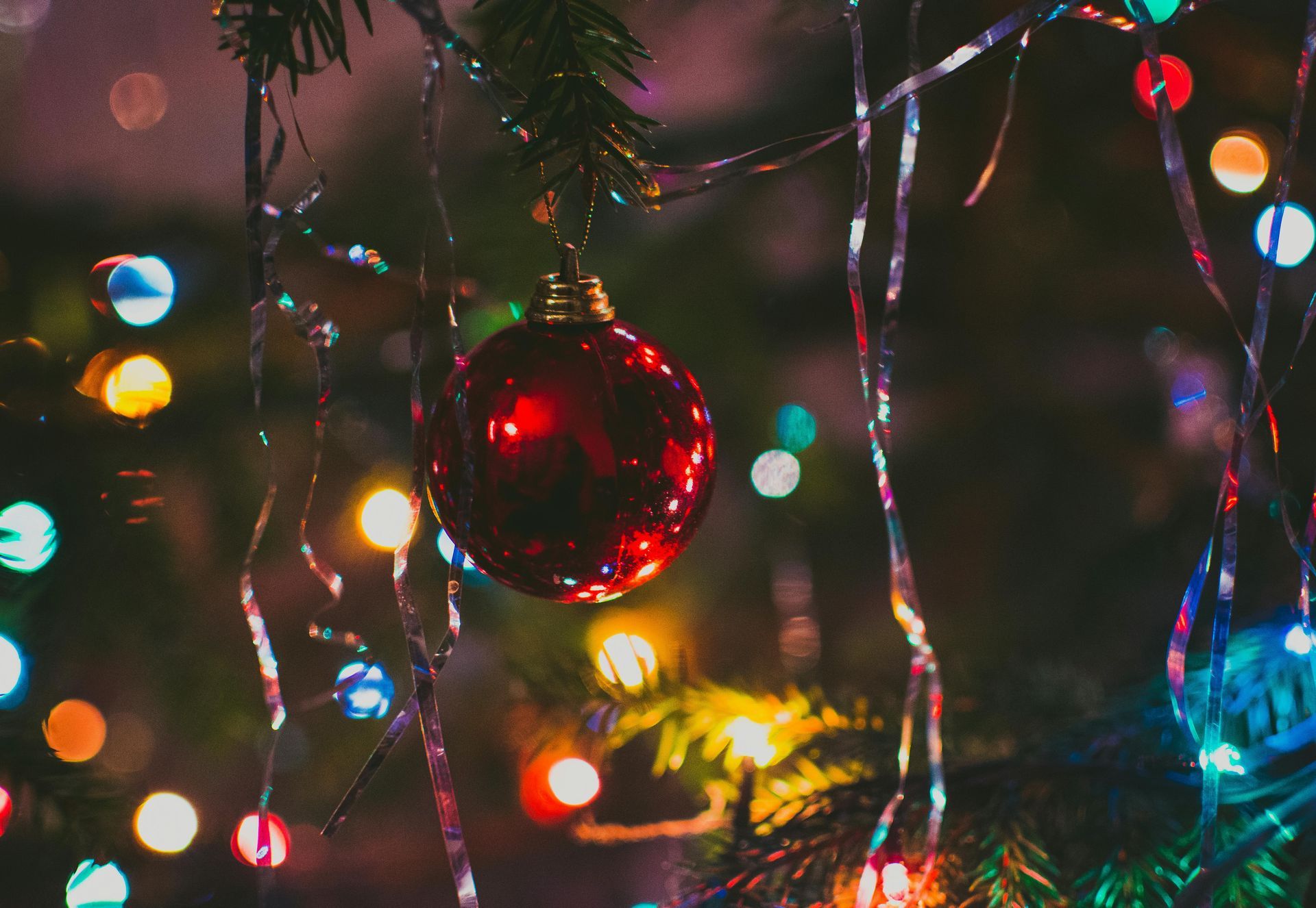 A red christmas ball is hanging from a christmas tree.