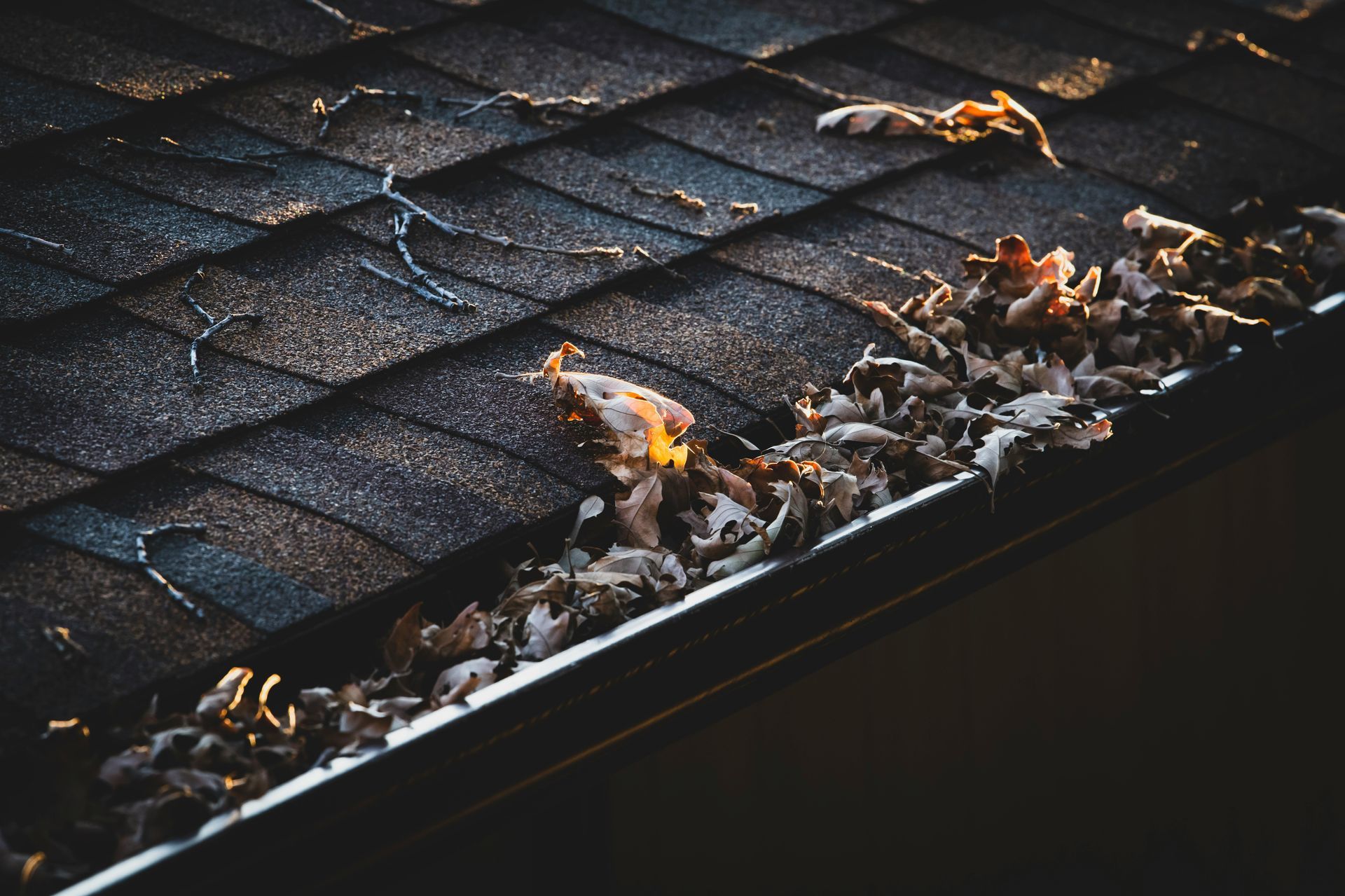 A close up of a gutter filled with leaves on a roof.